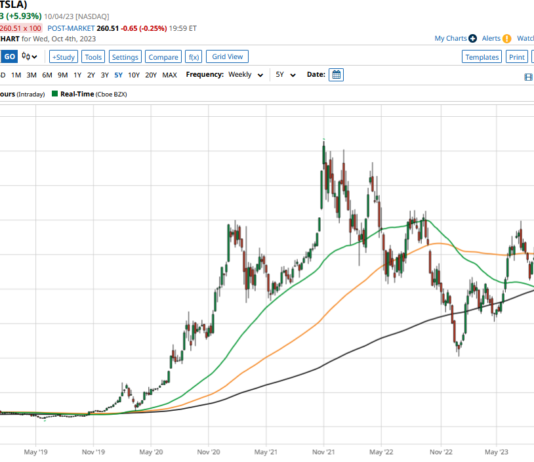 What is the Tesla Stock Forecast for 2025?